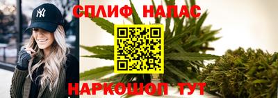 мдпв Пугачёв