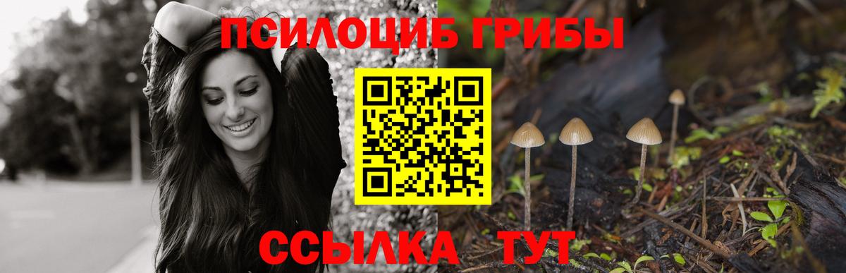 Галлюциногенные грибы Cubensis  Галлюциногенные грибы прущие грибы  Вход с VPN  Ростов Великий 